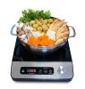 1650W Induction with Stainless Steel Panel & Control Knob