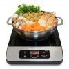 1650W Induction with Stainless Steel Panel