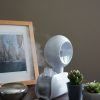 Portable Humidifier with Bottle