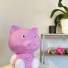 Pig Ultrasonic Humidifier